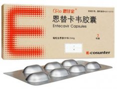 恩甘定恩替卡韦胶囊药代动力学研究